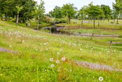 川-芝生広場